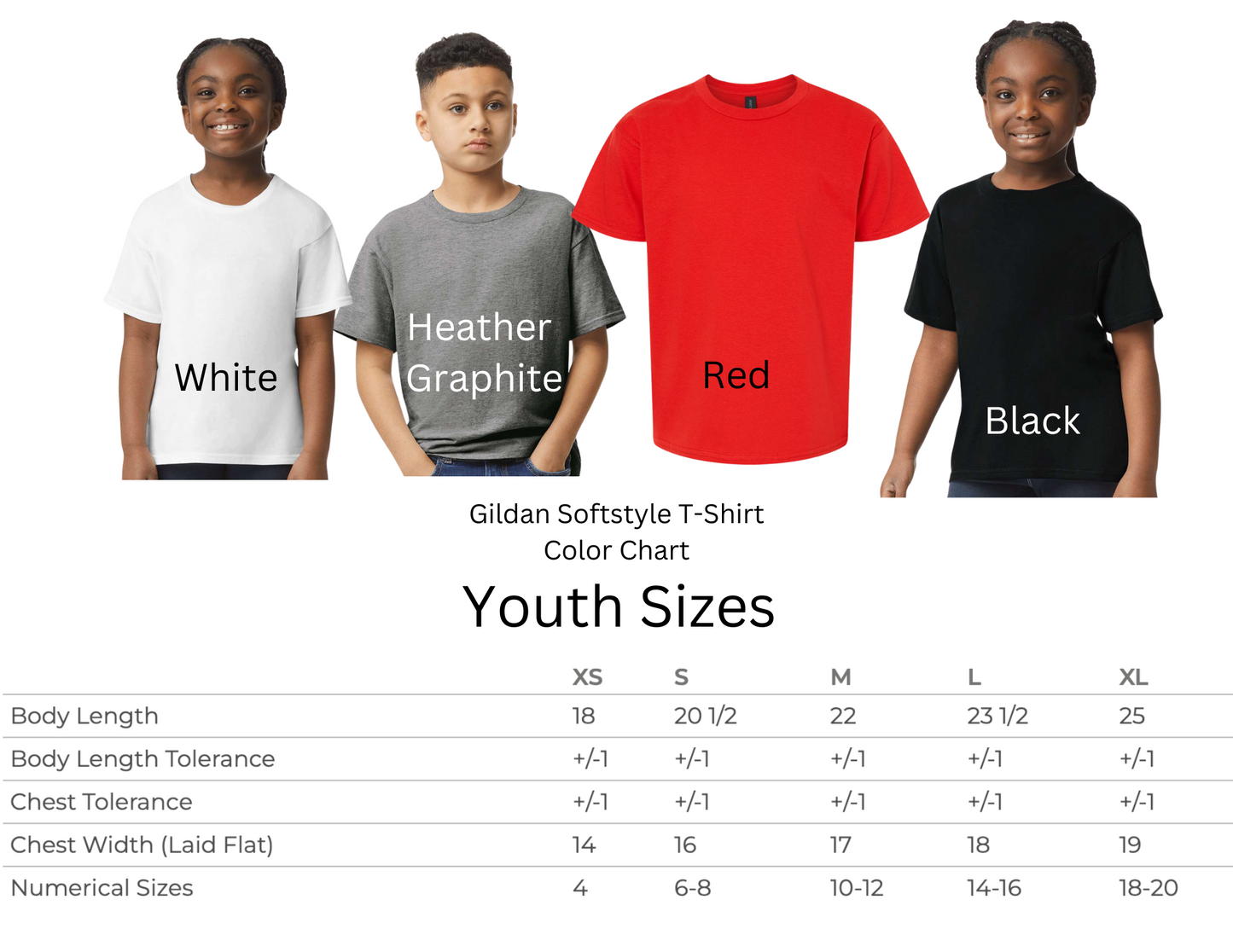 Belt Colors Unisex T-Shirt, Youth Sizes